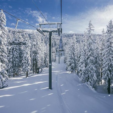 Chalet Les Clarines Lejlighed La Rosiere  Eksteriør billede