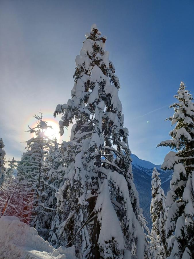 Chalet Les Clarines Lejlighed La Rosiere  Eksteriør billede
